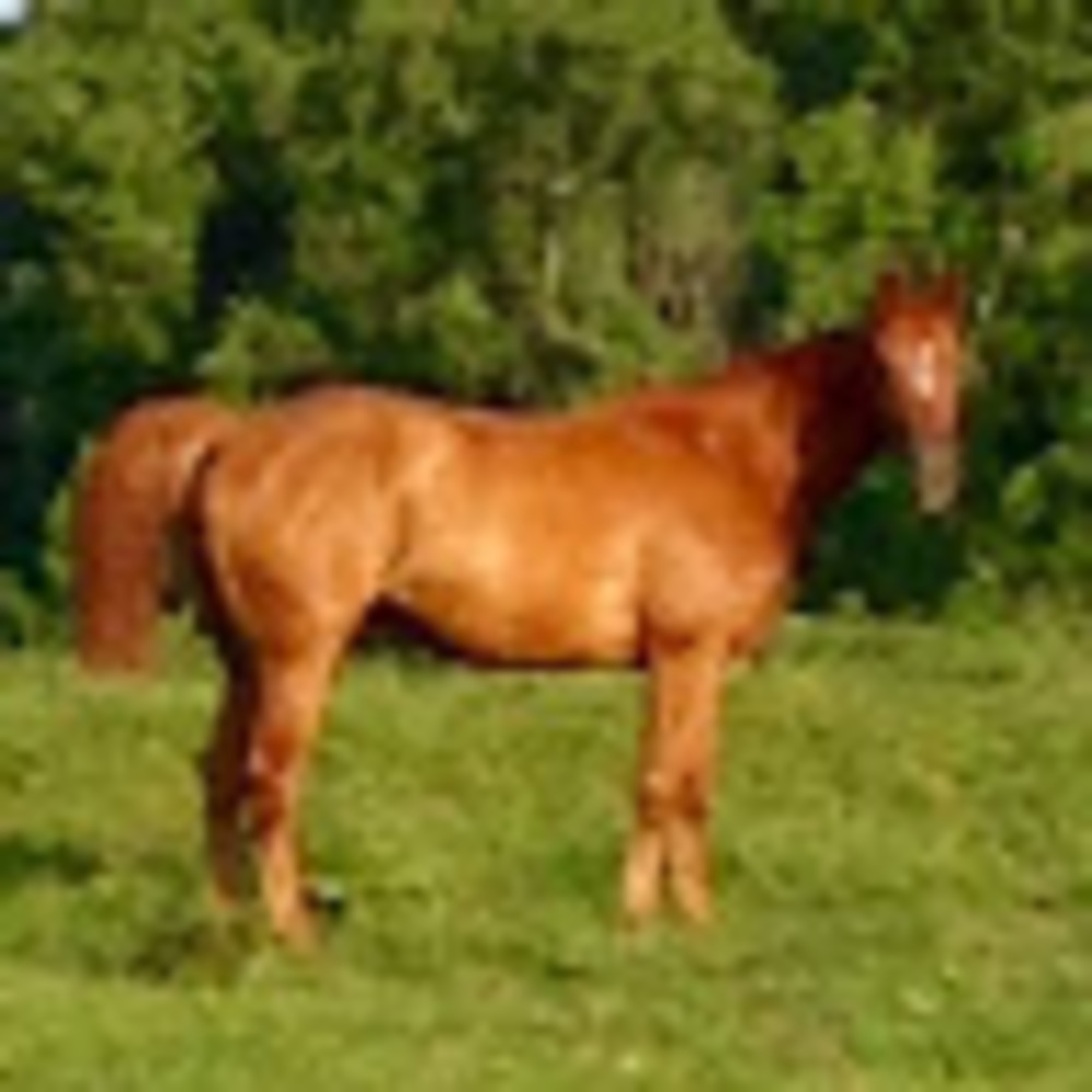 Meet your Posher, Shawn